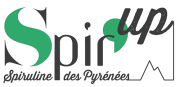 Logo Spir'up
